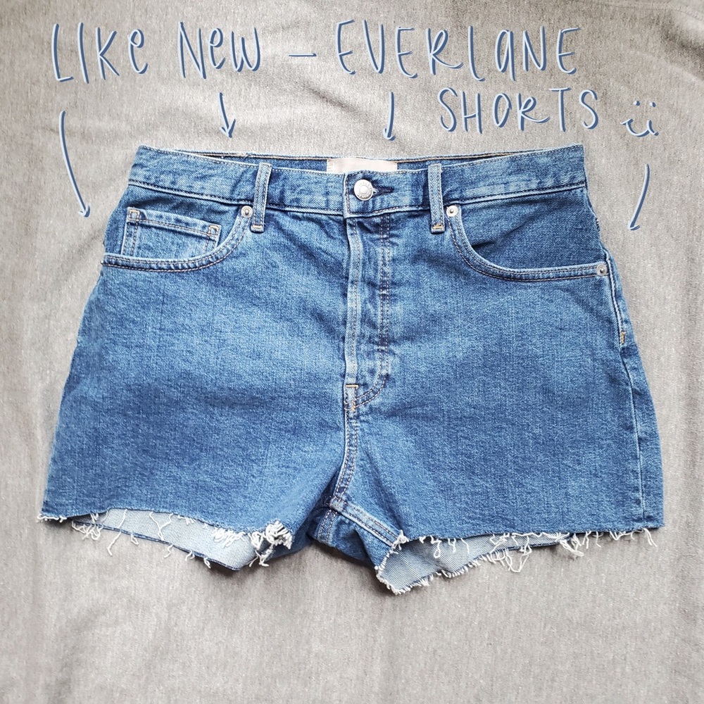 Size 28 Everlane Cheeky Denim Shorts Like New!